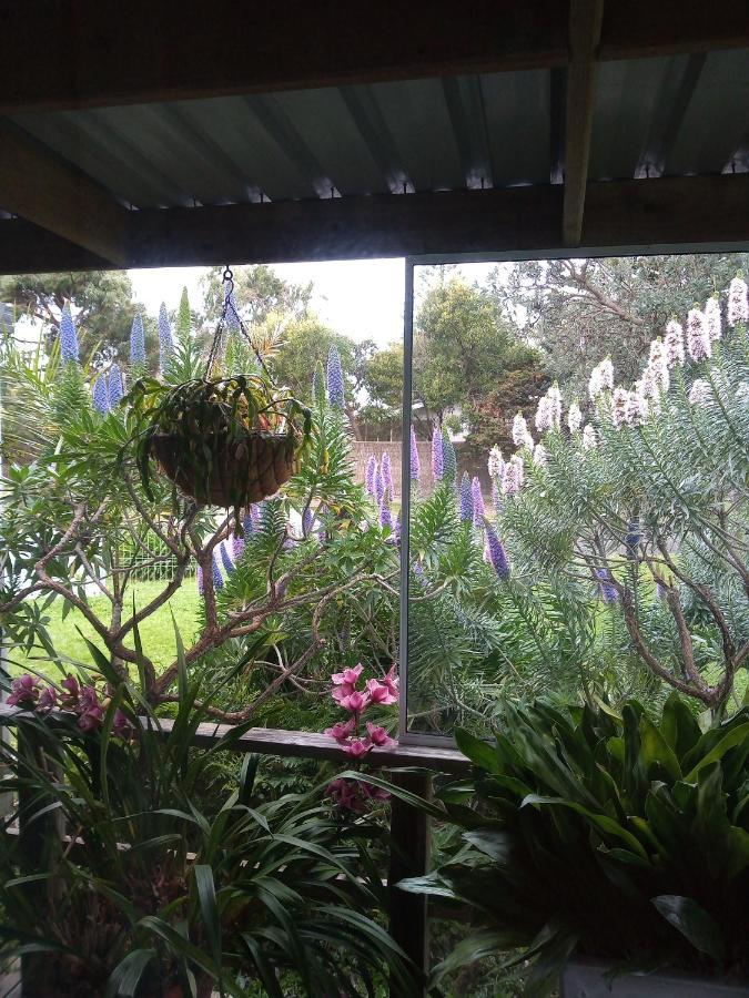Lakes Entrance Waterfront Cottages With King Beds Exteriér fotografie