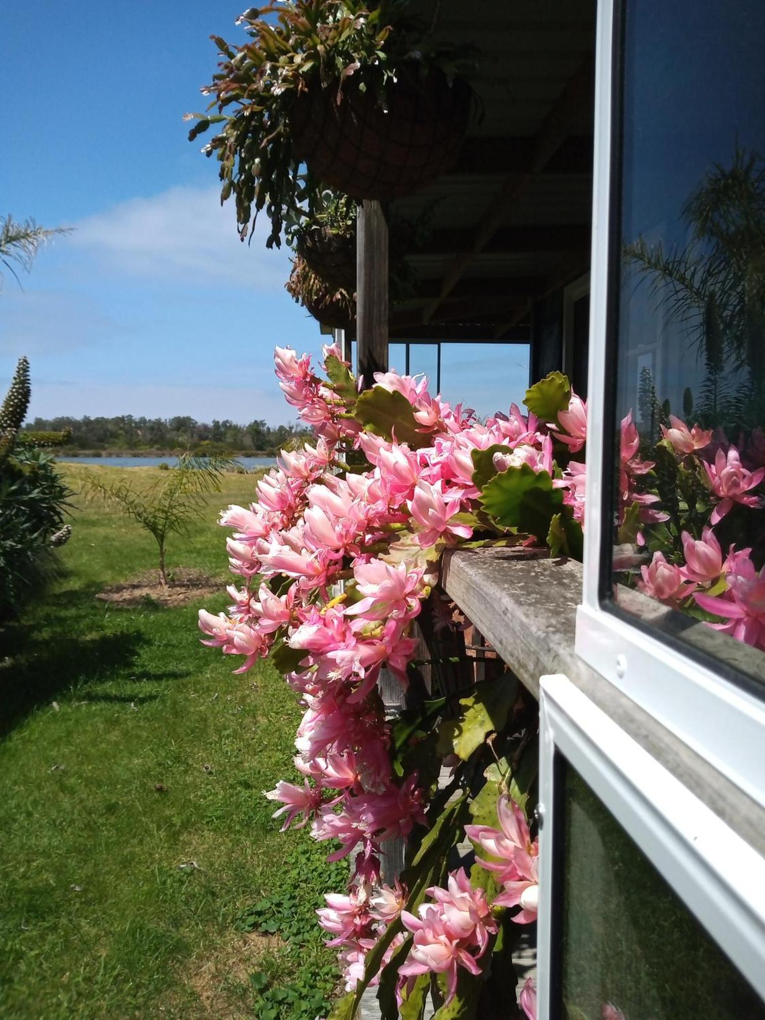 Lakes Entrance Waterfront Cottages With King Beds Exteriér fotografie