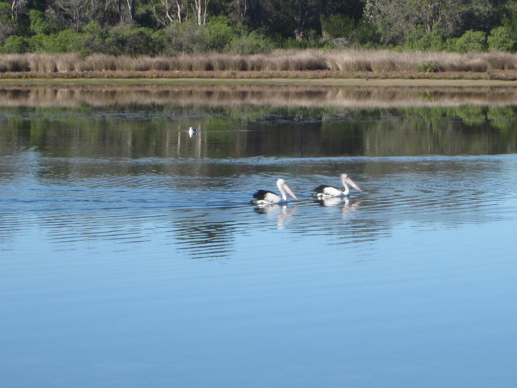Lakes Entrance Waterfront Cottages With King Beds Exteriér fotografie